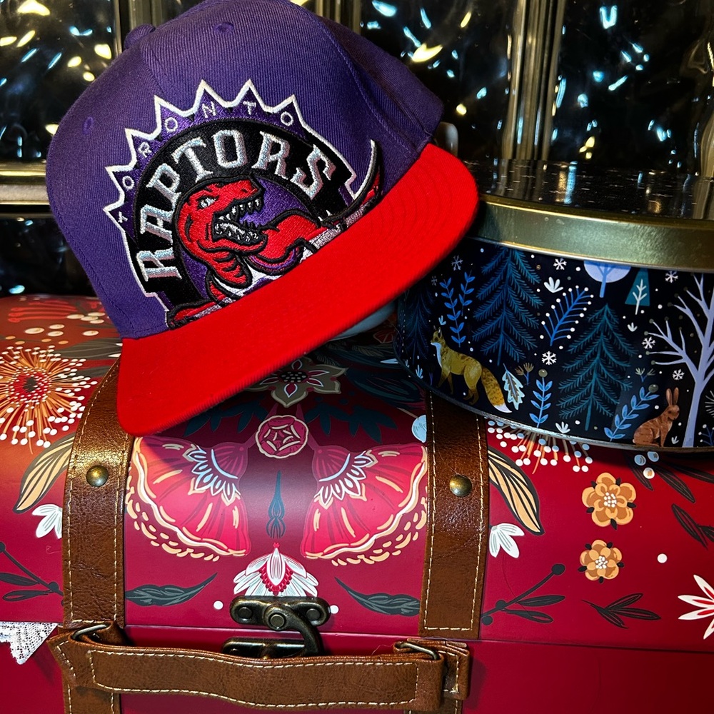 Retro Raptors Snapback